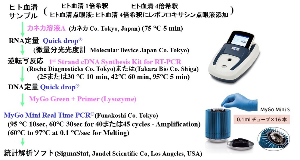 ヒト血清からRNA(リボ核酸)の抽出とcDNAの作成